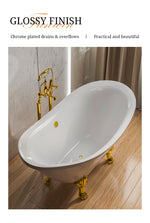 bathtub bath tub bathroom freestanding luxury acrylic fiberglass soaking cast iron clawfoot-Fanwin